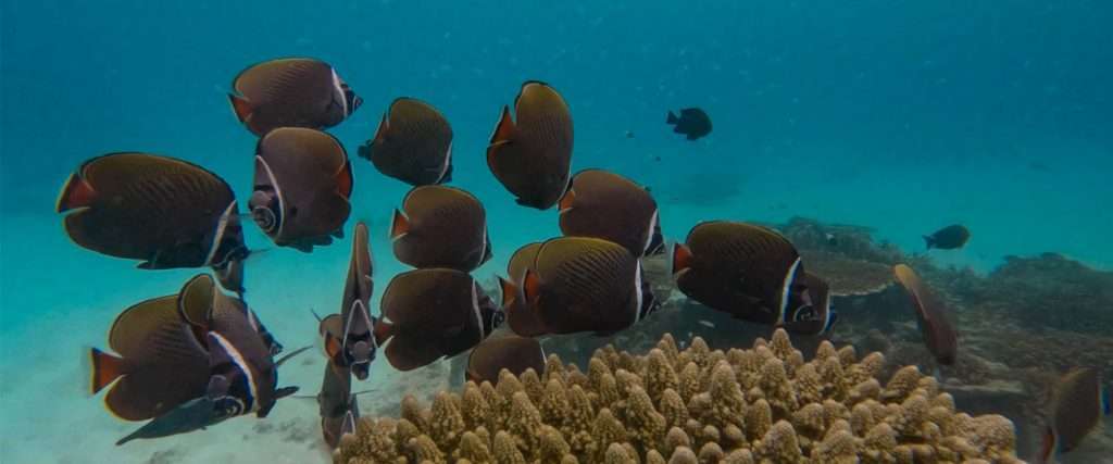 pulau weh post_banner image_north sumatra