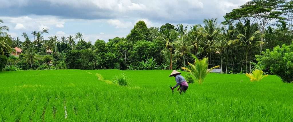 bali itinerary post featured image, indonesia 2