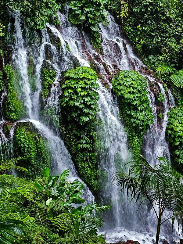 banyu wana waterfall north bali2