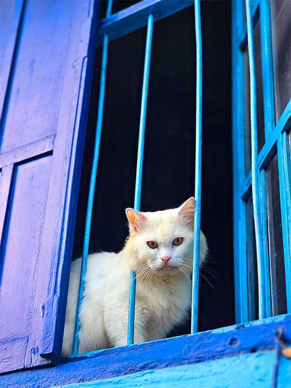 blue village malang east java