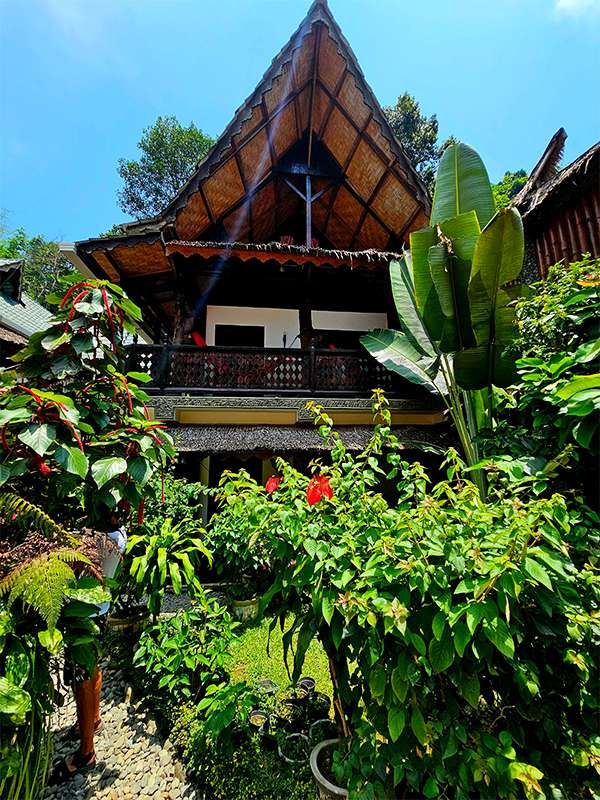 bukit lawang accomodation