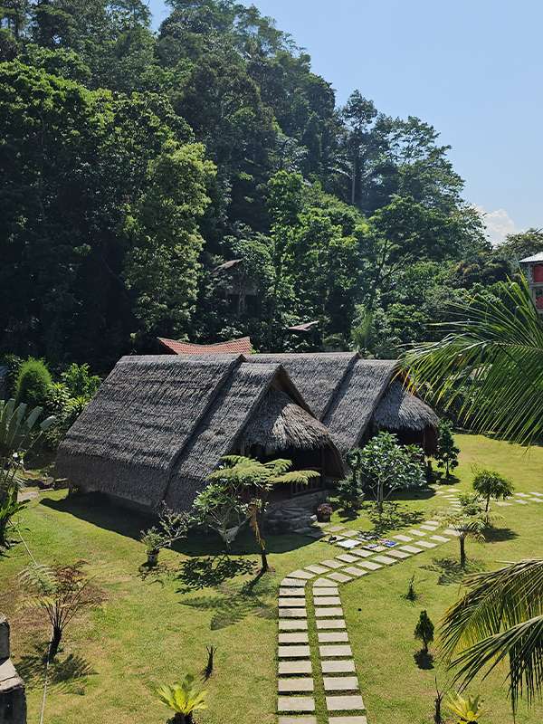 bukit lawang accomodation2