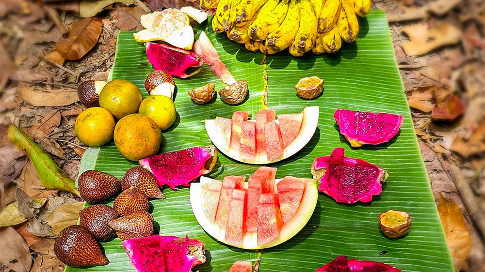 bukit lawang_jungle trek lunch