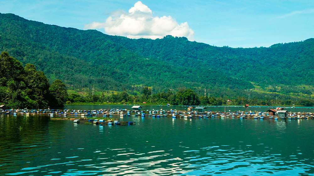 maninjau lake west sumatra