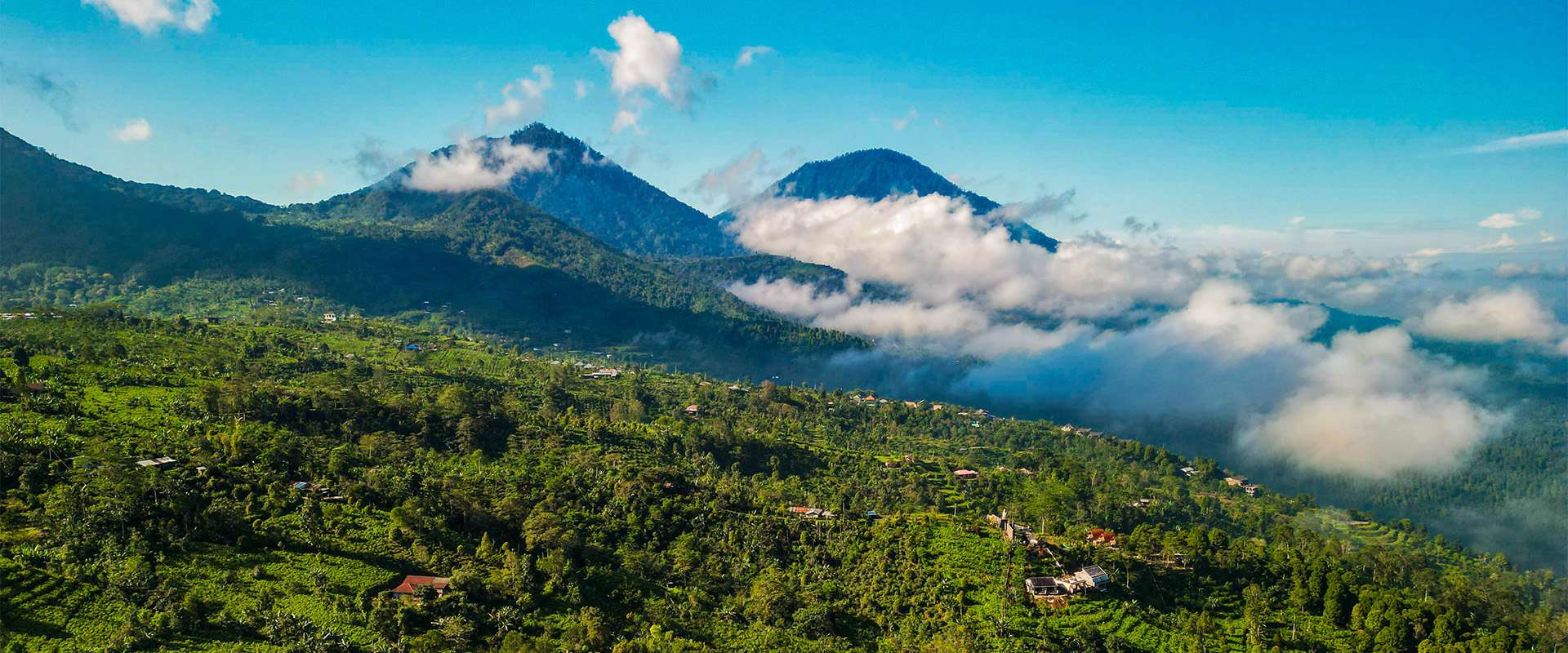 Mushukdagi baliq Mushukdagi baliq