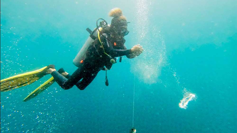 pualu weh_diving