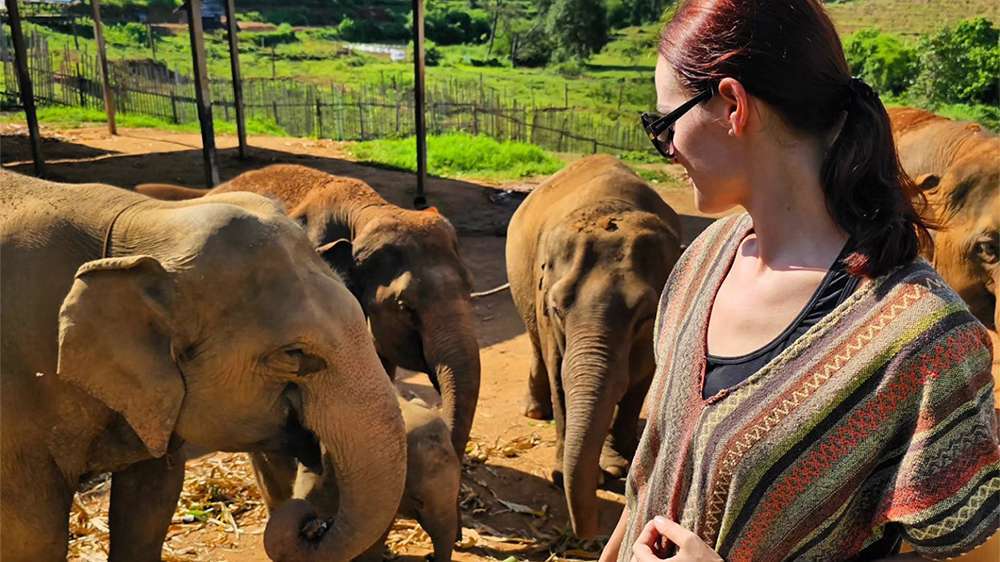 why travel blog_about page