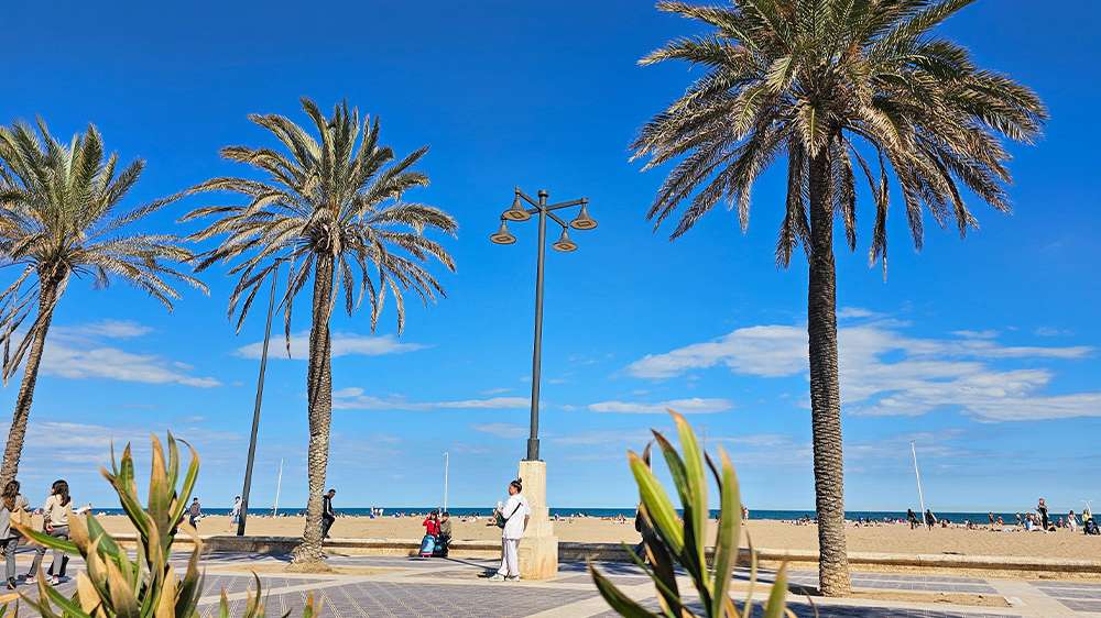 chilling at the beach in valencia