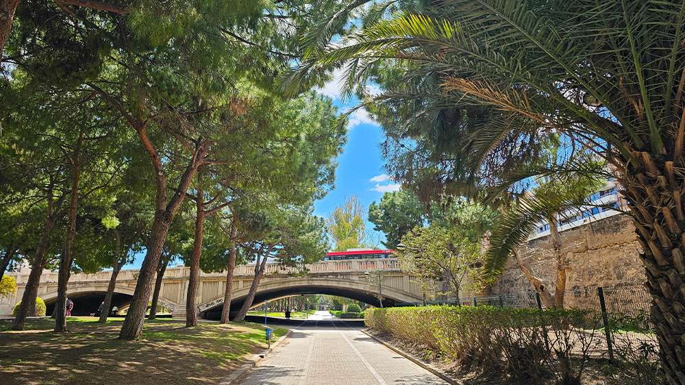 cycle or walk through turia gardens in valencia