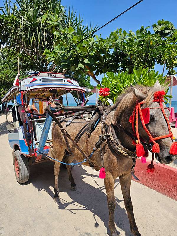 gili islands cidomos