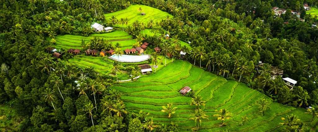 indonesia itinerary post featured image, munduk rice terraces, bali