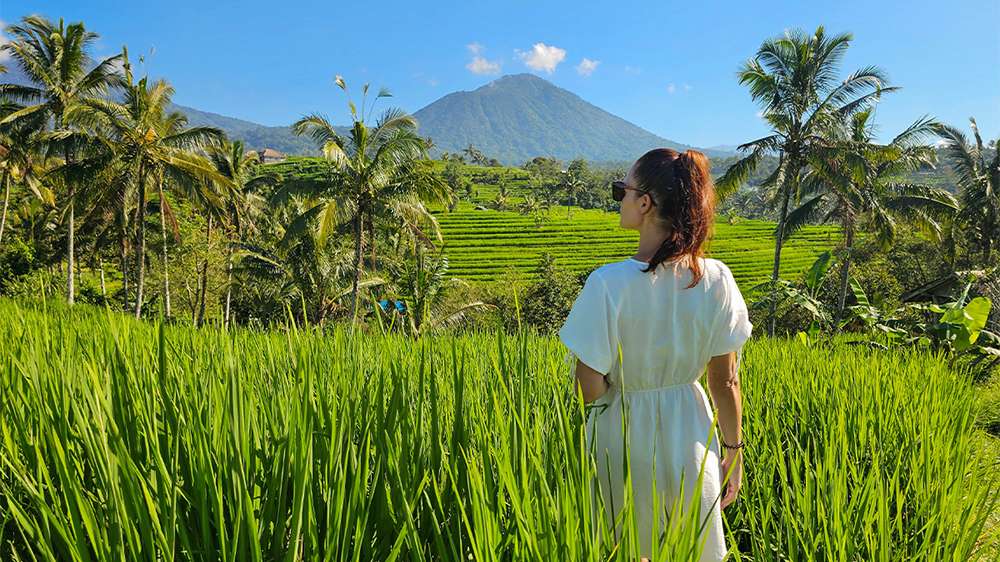 jatiluwih rice terraces bali indonesia
