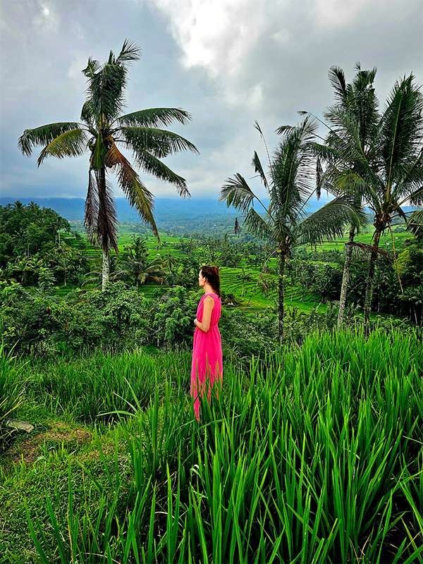 jatiluwih rice terraces walkies, bali