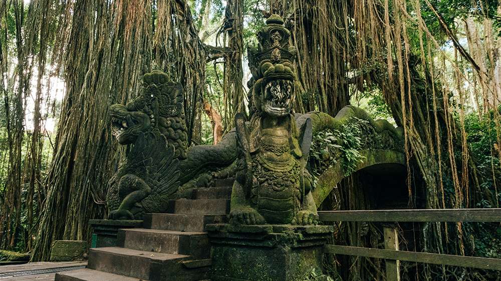 monkey forest temple ubud bali