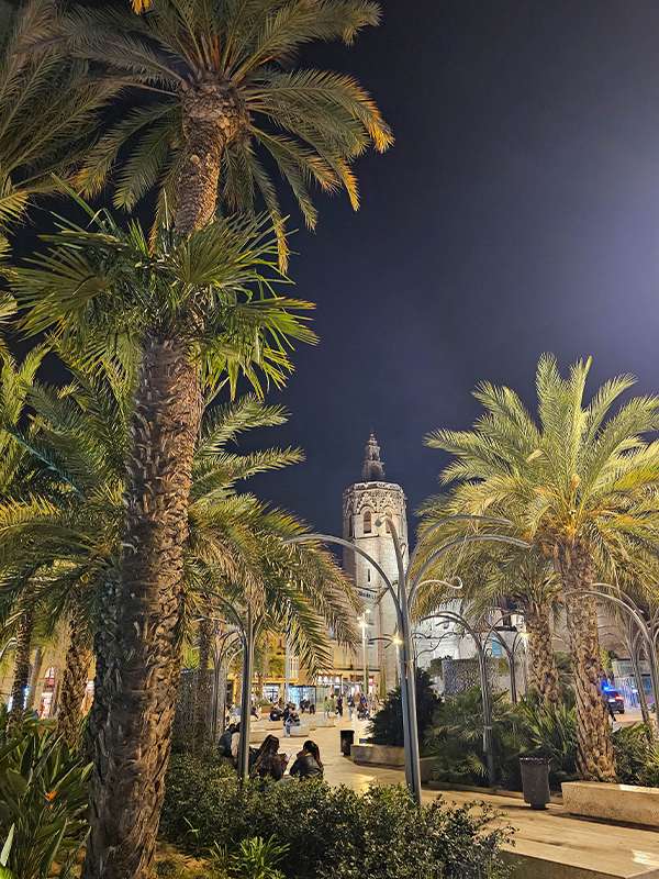 plaza de la reina night lights