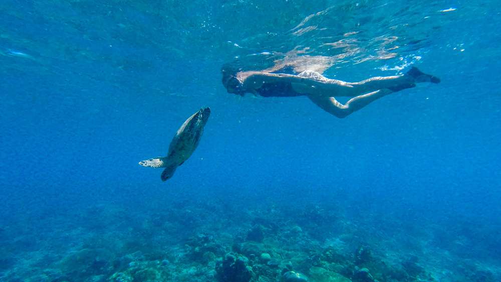 snorkeling with turtles in gili air2