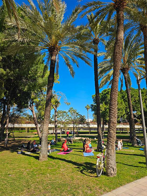 turia gardens valencia