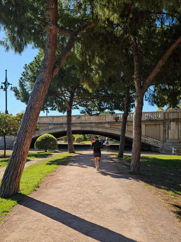 turia gardens valencia2
