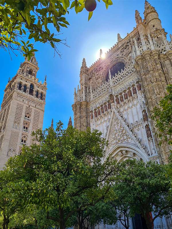 seville cathedral