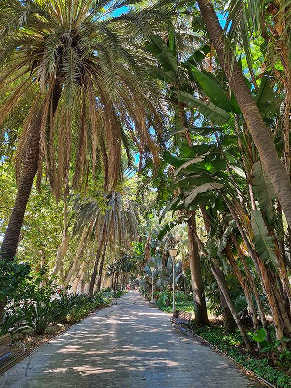 malaga park - Parque de Málaga