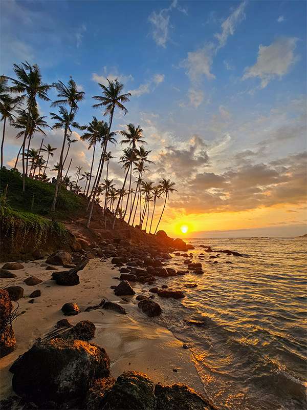 coconut hill, mirissa, sri lanka