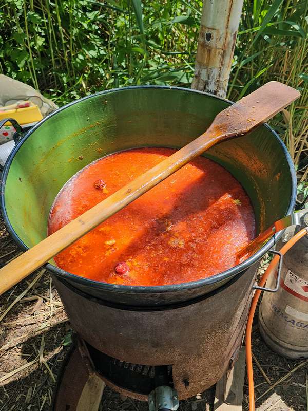 hungarian fish soup