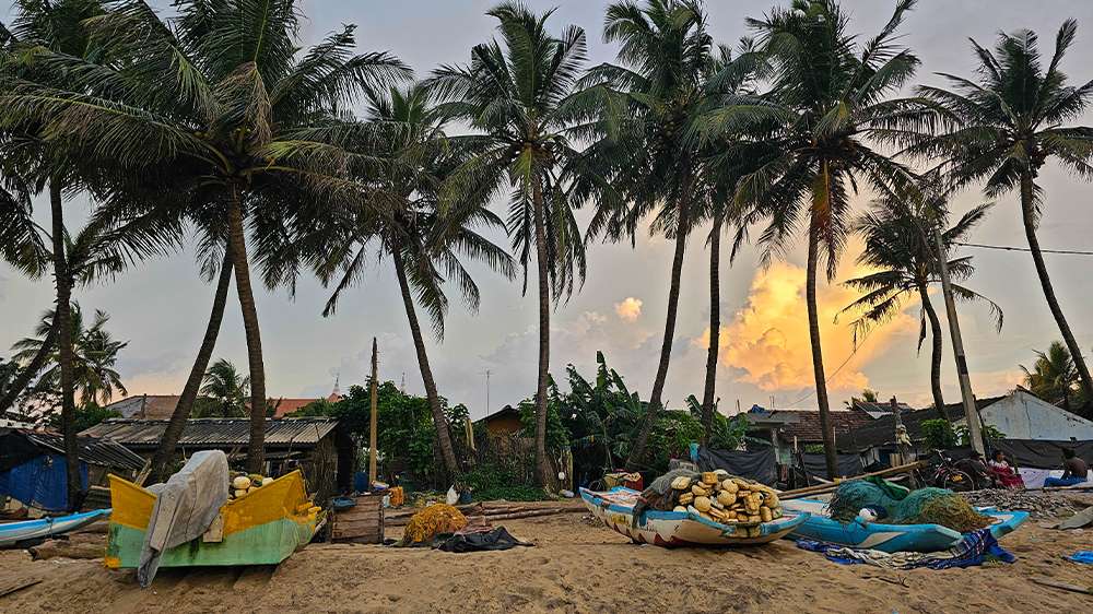 negombo coast, sri lanka