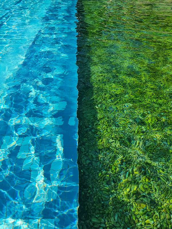 pebbly pool at eger thermal bath, hungary