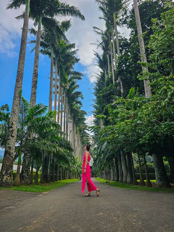 royal botanical garden, kandy, sri lanka