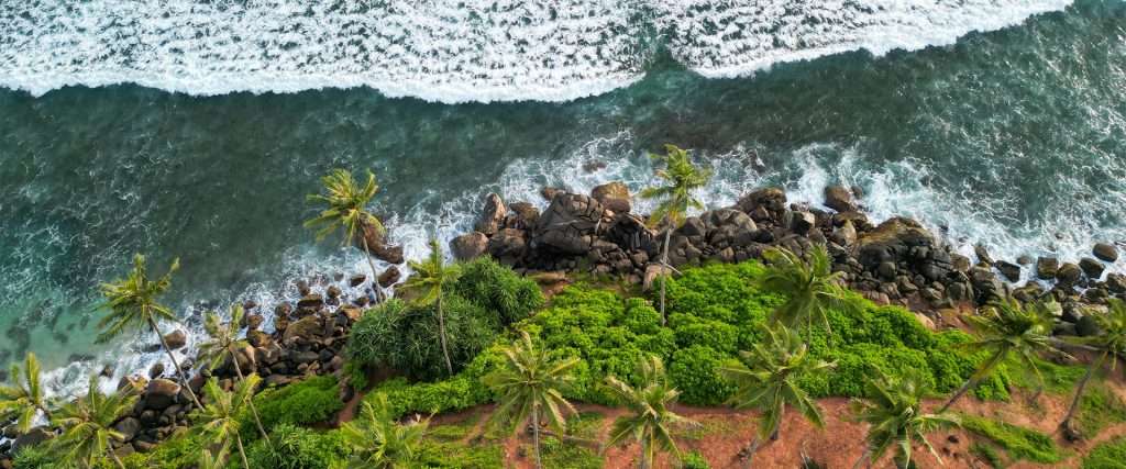 mirissa coconut hill in sri lanka, indian ocean