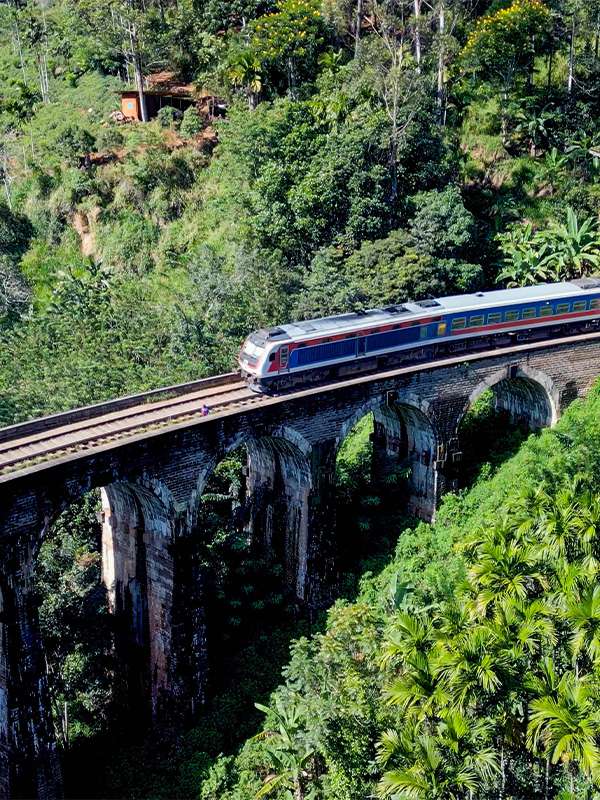 train crossing nine arches bridge in ella, sri lanka