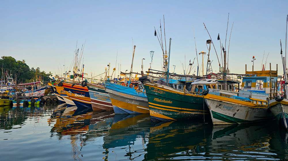 mirissa marina in sri lanka2