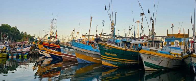 mirissa marina in sri lanka, whale watching tour start