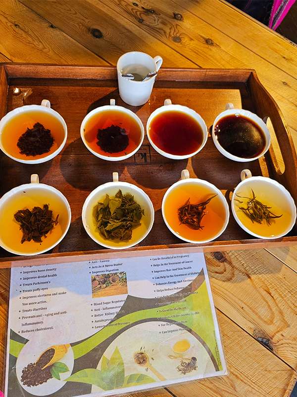 sri lankan ceylon tea tasting
