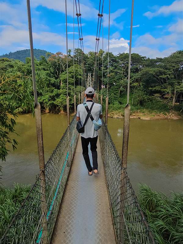 the royal botanical garden in peradeniya, sri lanka