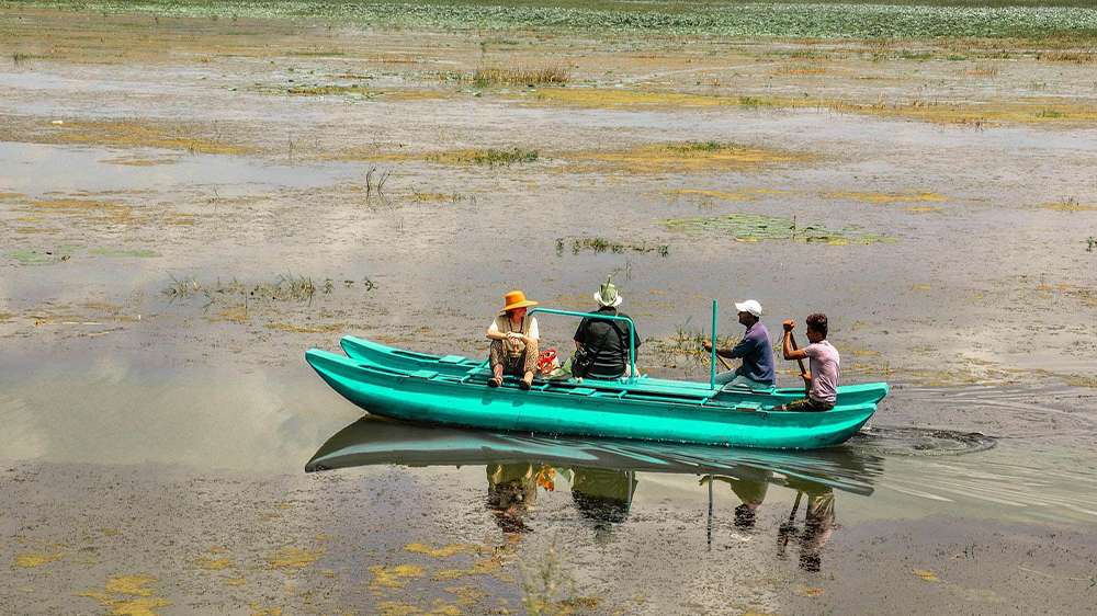 village tour in sigiriya, sri lanka