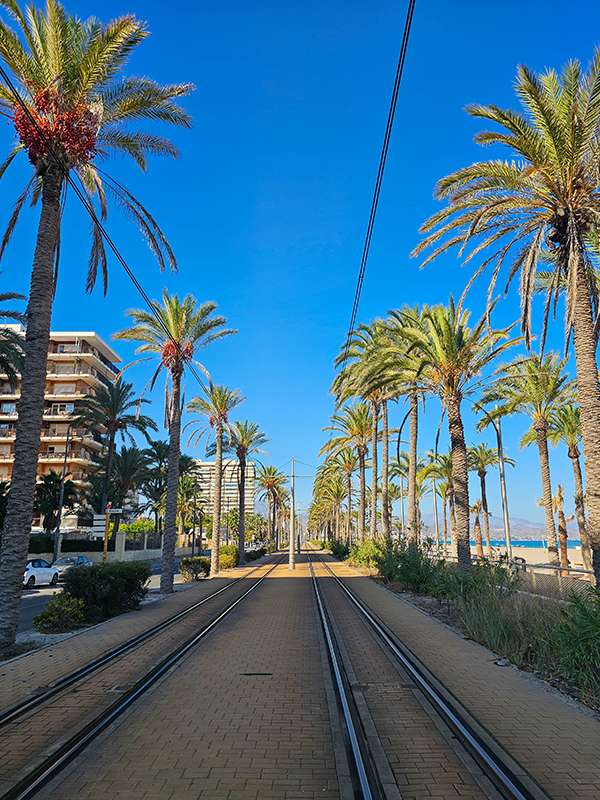 tram tracks in alicante, spain