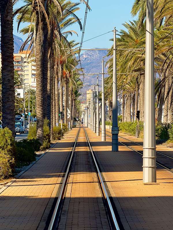 tram tracks in alicante